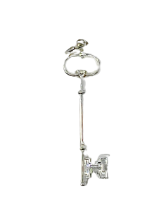 Bijou d'officier Trésorier Argent